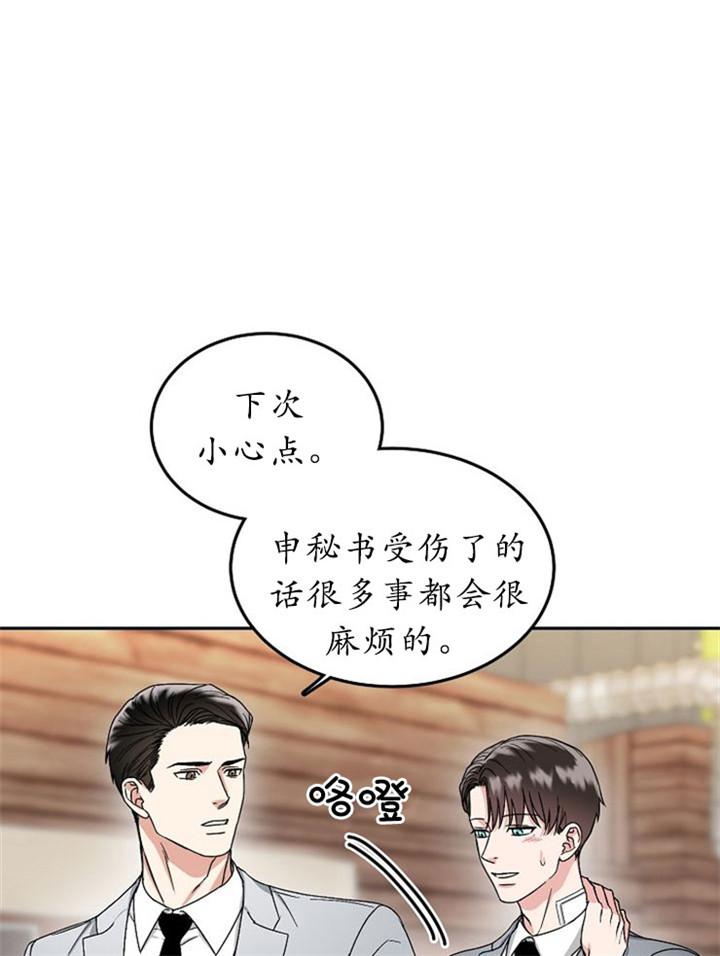 总裁秘书不好当/安全伙伴，13话，第 28 页