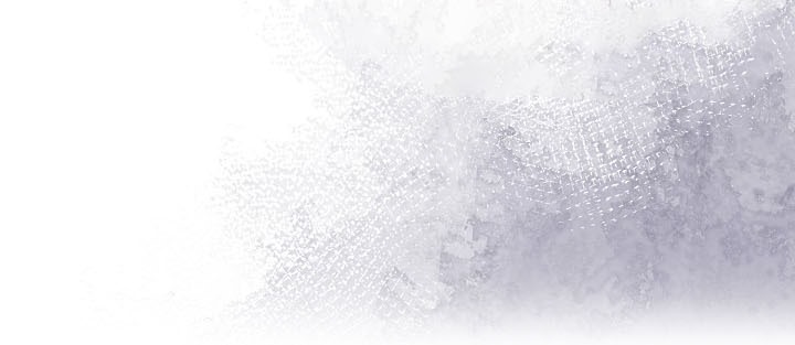 被召喚到異世界，然後成為半龍騎士長，第16話，第 196 页
