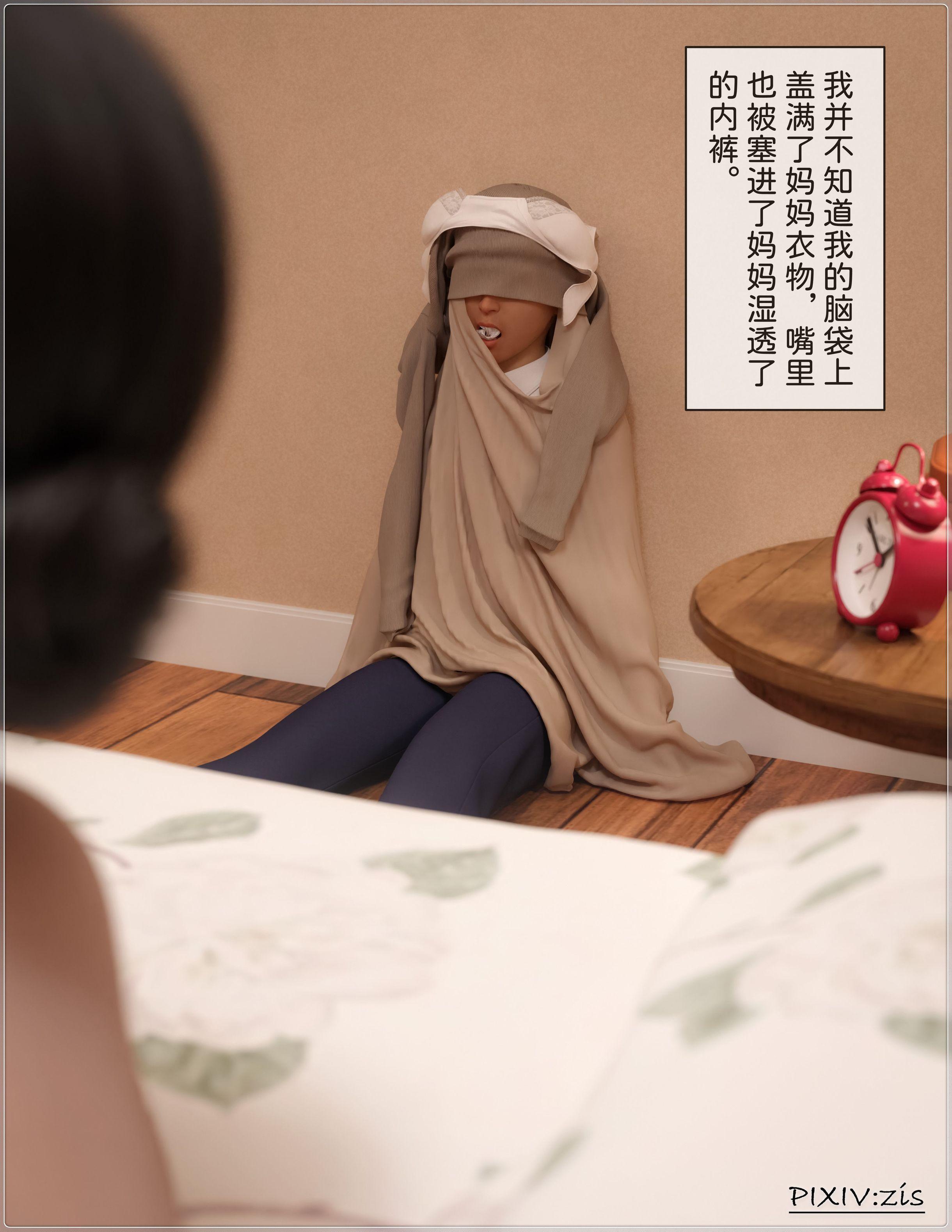盗母笔记，第9章，第 12 页