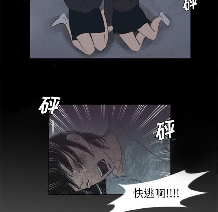 盗脸人，第 1 章，第 52 页