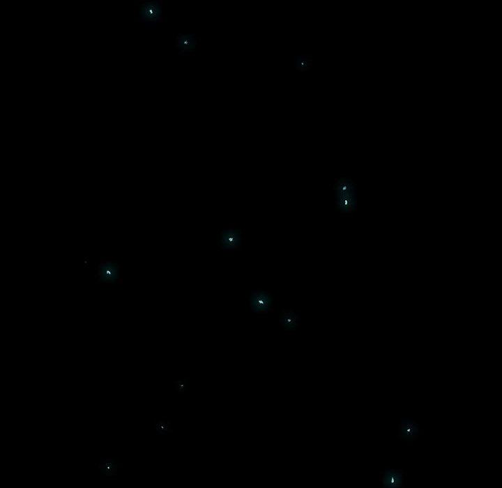 血刃，第 21 章，第 77 页