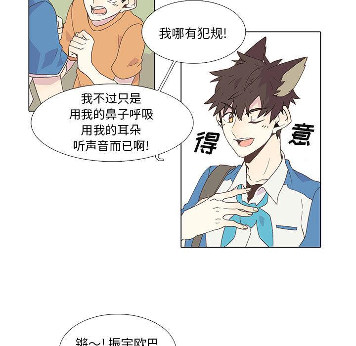 野性之城，第 1 章，第 11 页