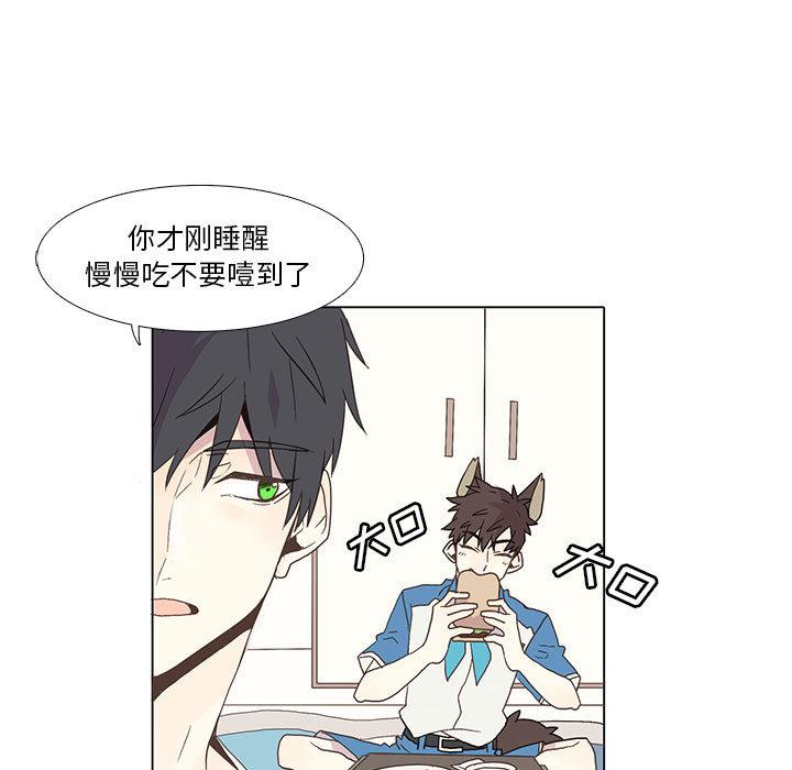 野性之城，第 2 章，第 17 页
