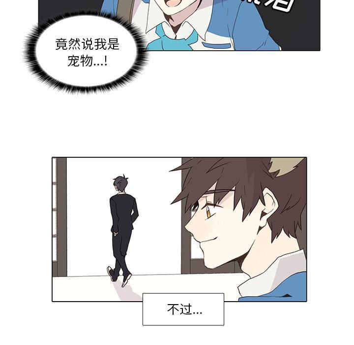 野性之城，第 4 章，第 28 页