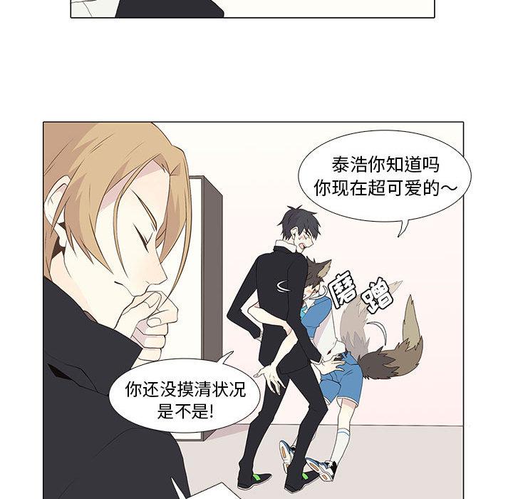 野性之城，第 9 章，第 40 页