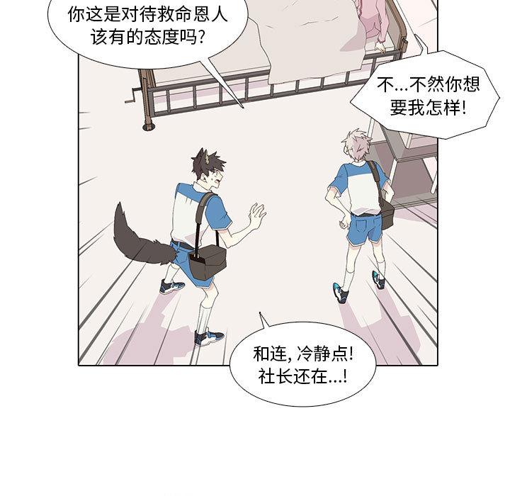 野性之城，第 9 章，第 15 页