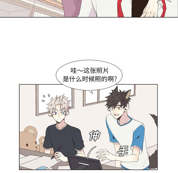 野性之城，第 15 章，第 22 页