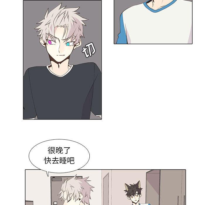 野性之城，第 15 章，第 28 页