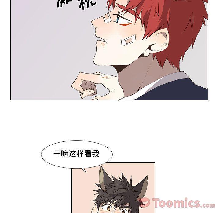野性之城，第 31 章，第 15 页