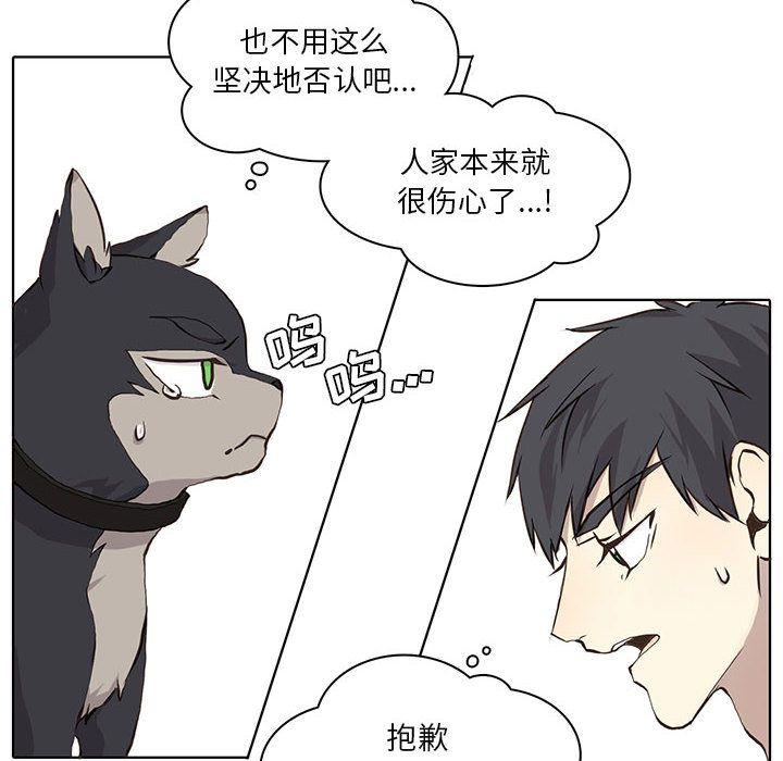 野性之城，第 36 章，第 12 页