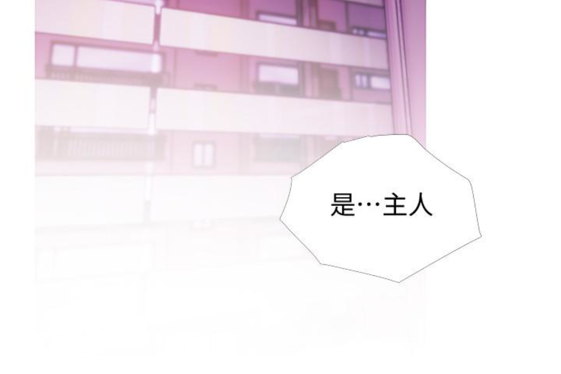 阿姨的秘密情事，第56話-性致高昂的主人，第 44 页