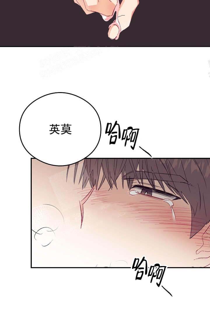 奇妙玩具来袭完结，10话，第 5 页