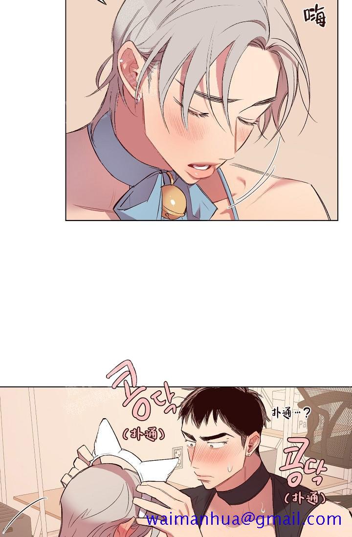 奇妙玩具来袭完结，17话，第 21 页