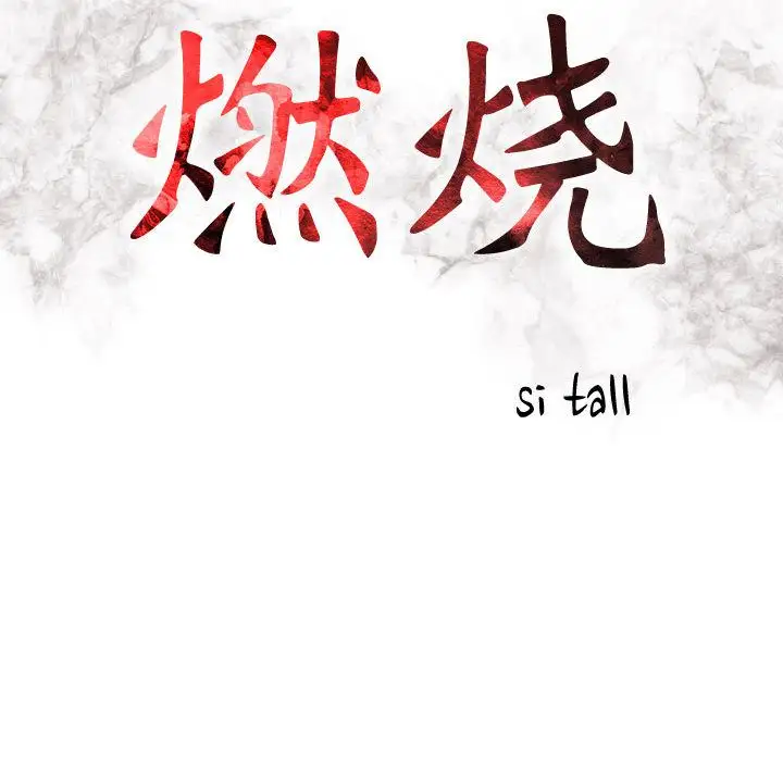 燃烧，第10章，第 15 页