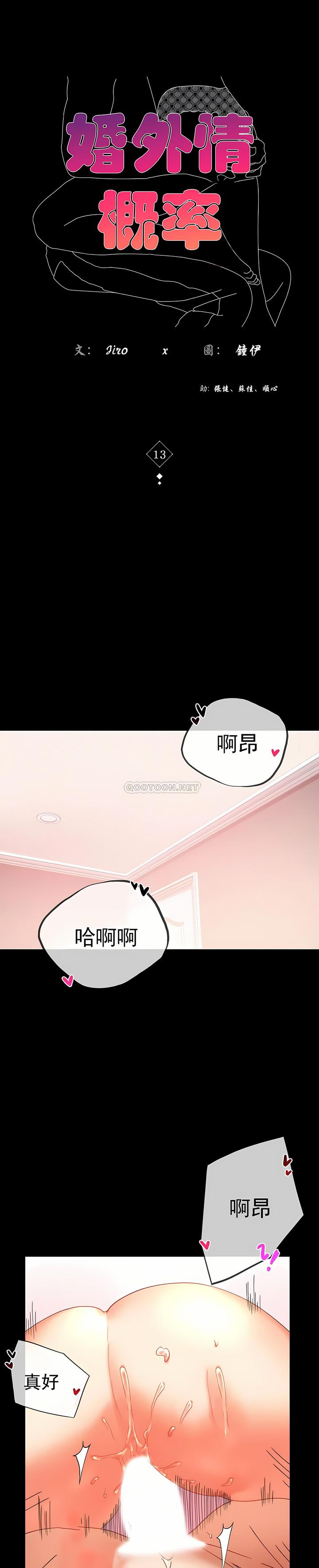 婚外情概率，第13章，第 3 页