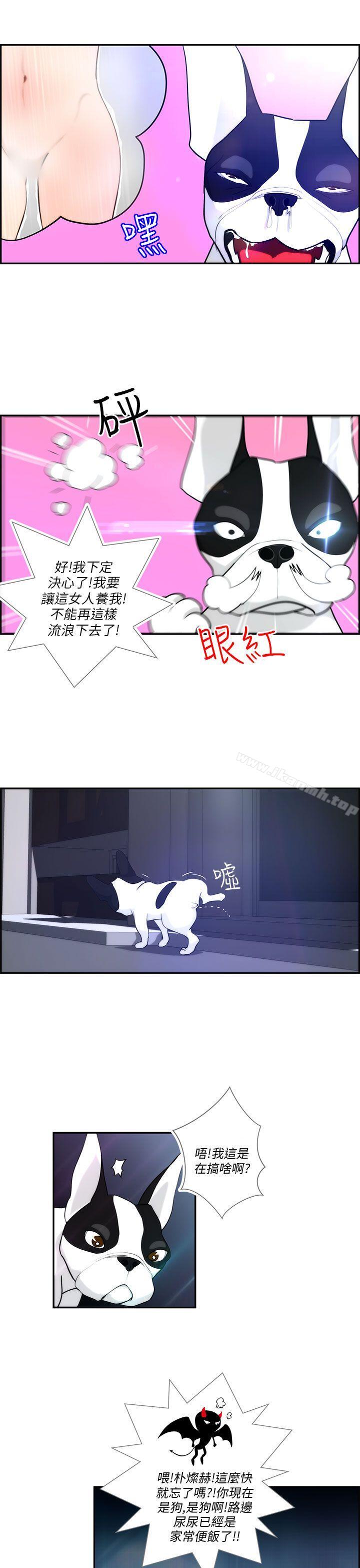 變成狗的男人，第4話，第 5 页