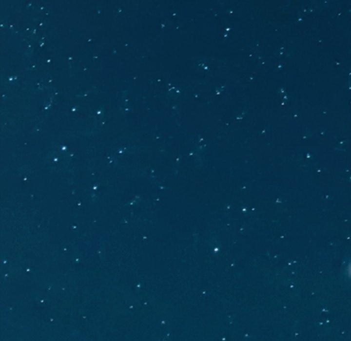 隔壁老金，第56話，第 203 页