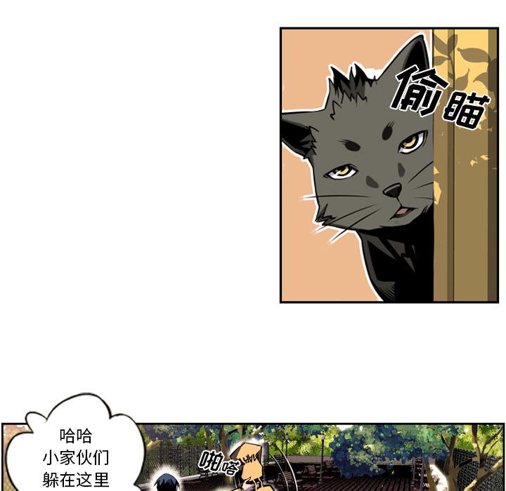 少年的新星，第 1 章，第 40 页