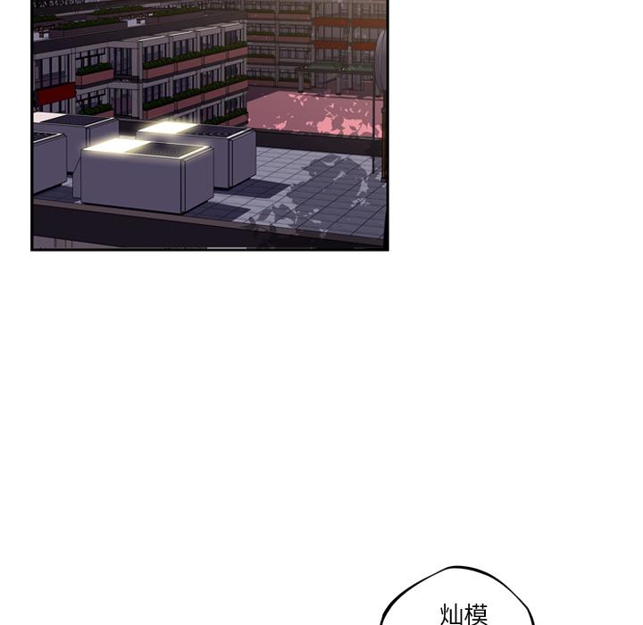 少年的新星，第 44 章，第 84 页