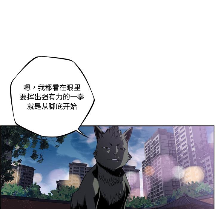 少年的新星，第 51 章，第 96 页