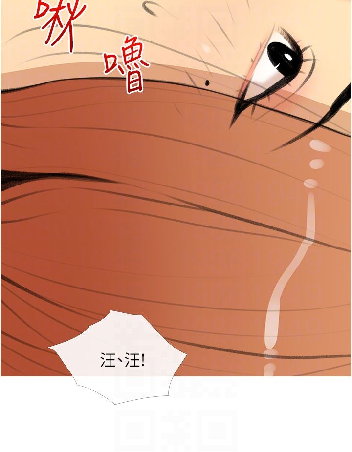 糖果爸爸的搶婚大作戰，第28話-聽話的母狗有糖吃，第 28 页